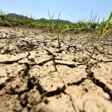 Objectif d’émissions pour 2040 : L’orientation de la politique climatique de l’UE