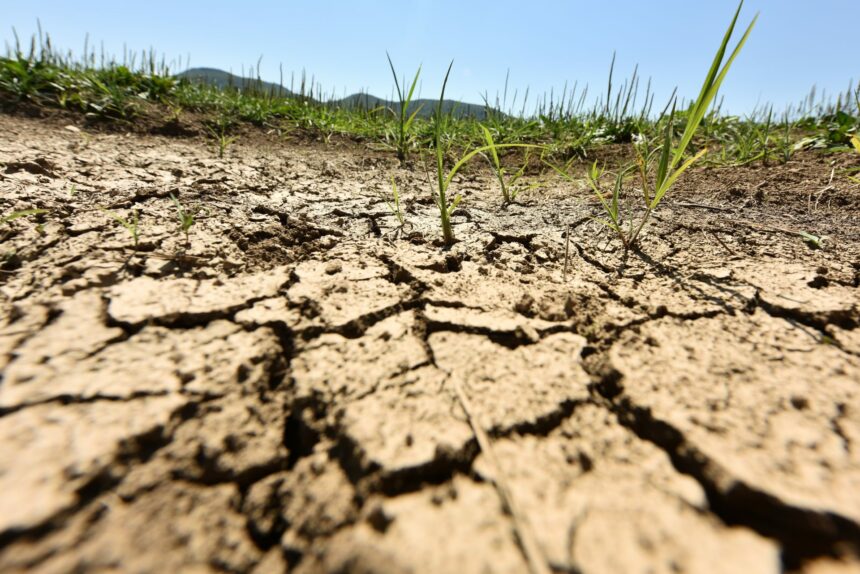 Objectif d’émissions pour 2040 : L’orientation de la politique climatique de l’UE