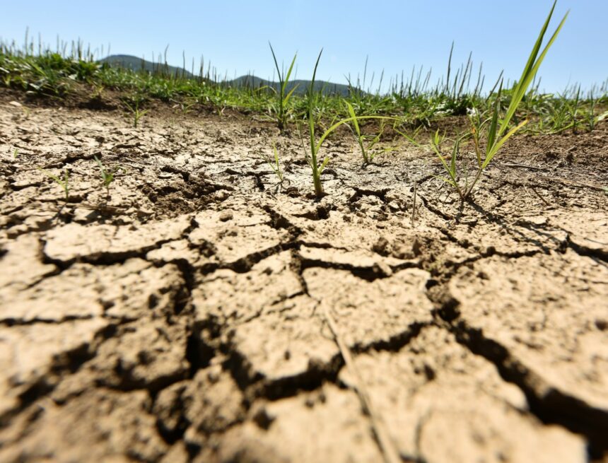 Objectif d’émissions pour 2040 : L’orientation de la politique climatique de l’UE