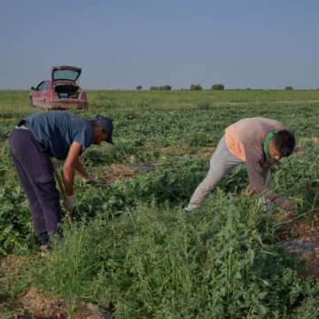 L’Espagne recevra 20 % de moins de fonds européens pour la PAC et la cohésion à partir de 2027