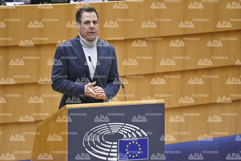Le Parlement européen a reçu une demande de levée de l’immunité de Vilimsky
