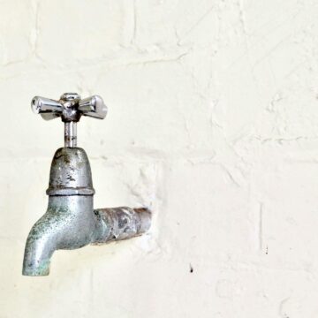 Il y a quelque chose dans l’eau