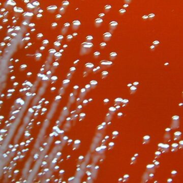 Deux hommes sont tombés gravement malades l’année dernière ; leurs infections sont liées à des décès survenus dans les années 80