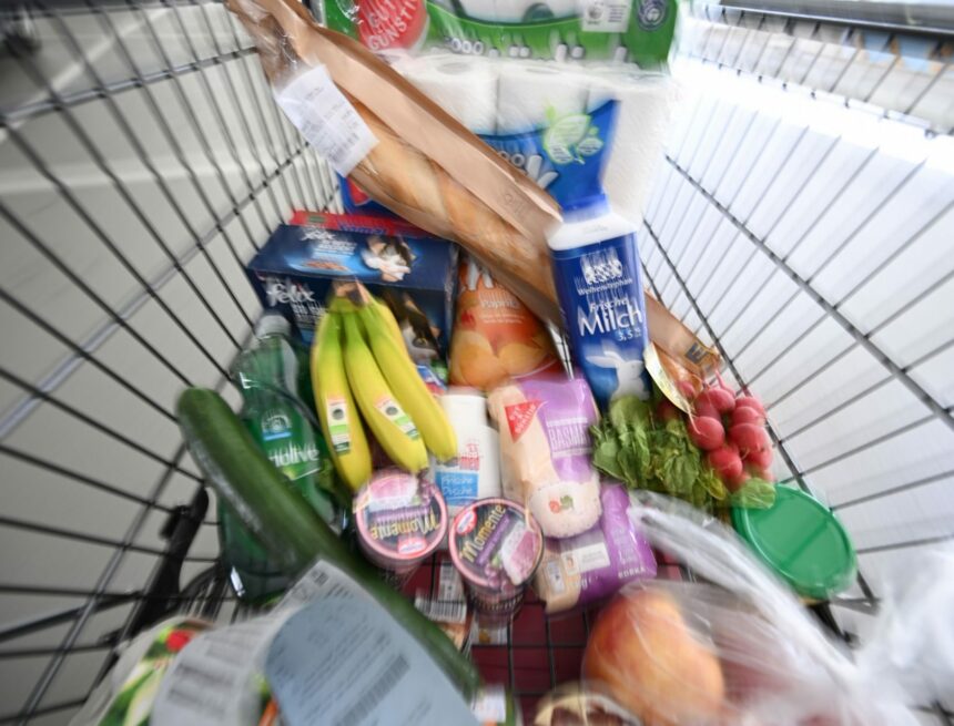 urnnewsmldpa.com20090101240820-935-215963-v1-s2048.jpeg Les prix de la viande bovine en République tchèque augmentent, les agriculteurs s’inquiètent de la propagation des maladies