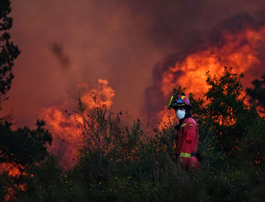 urnnewsmldpa.com20090101250822-99-800637-v1-s2048.jpeg L’UE coordonne les forces de lutte contre les incendies qui ravagent le sud de l’Europe