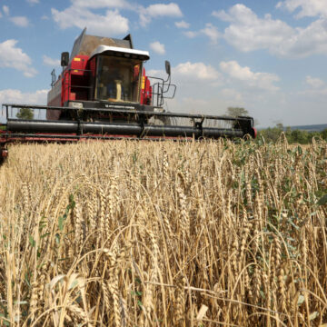 La Commission promet de défendre les agriculteurs dans l’accord du Mercosur