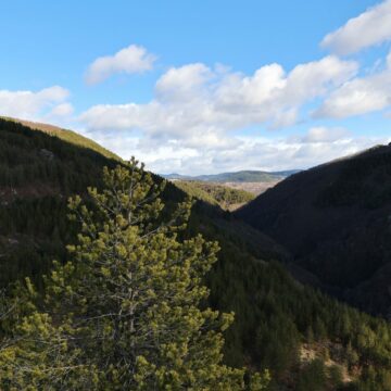Une étude européenne présente un modèle unique de gestion forestière dans les coopératives forestières des Rhodopes