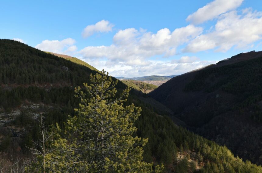 Une étude européenne présente un modèle unique de gestion forestière dans les coopératives forestières des Rhodopes