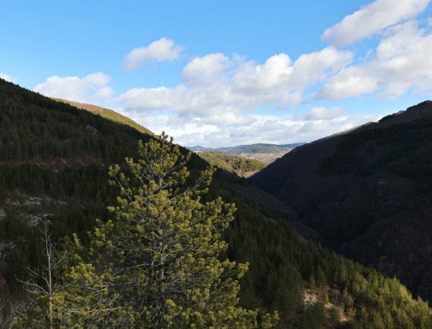 Une étude européenne présente un modèle unique de gestion forestière dans les coopératives forestières des Rhodopes