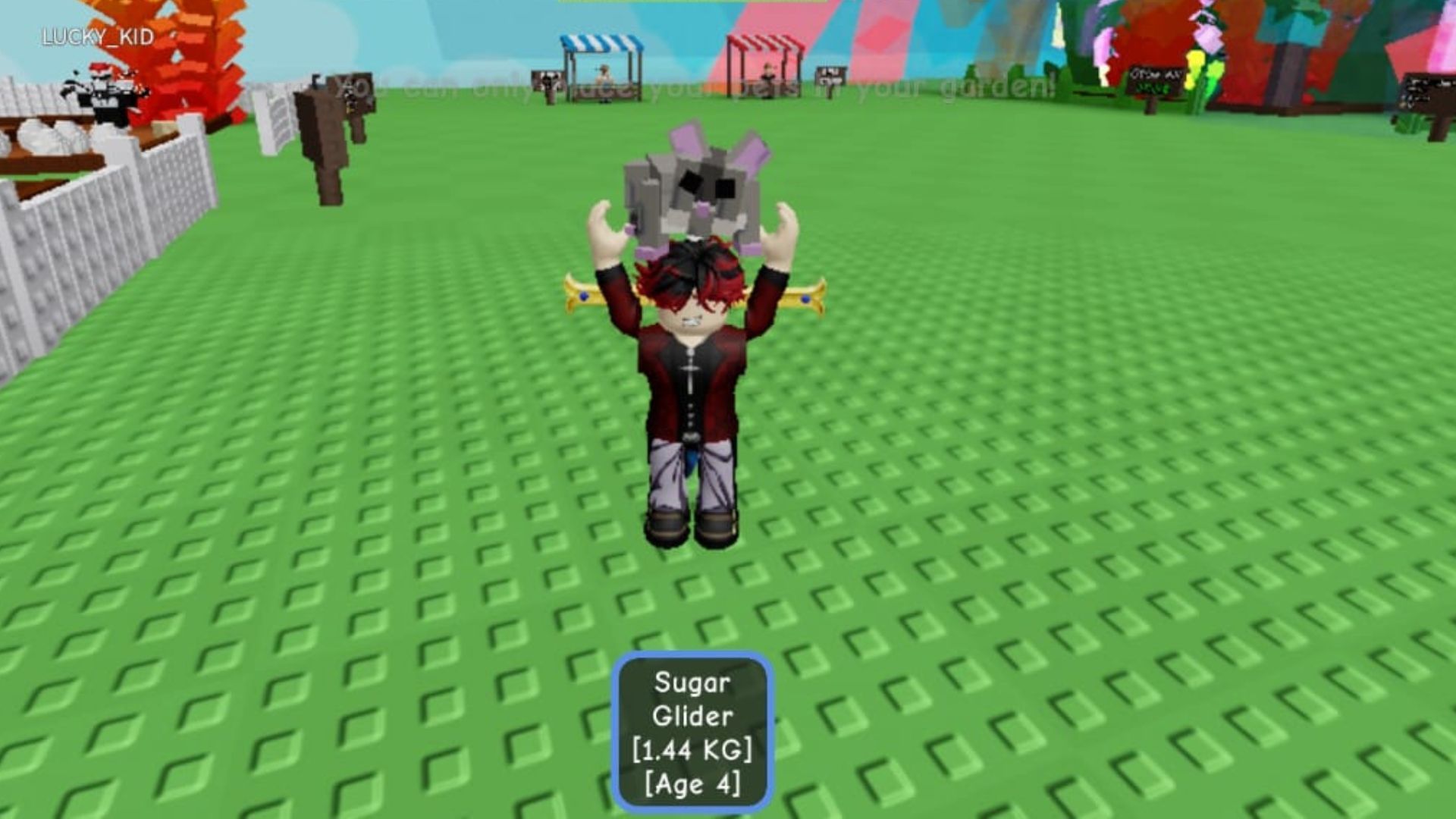 Le Sugar Glider (image via Roblox)